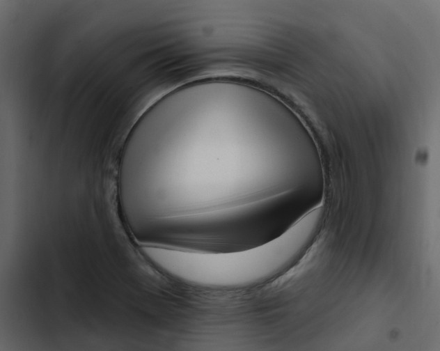 X0000102871369200809021437