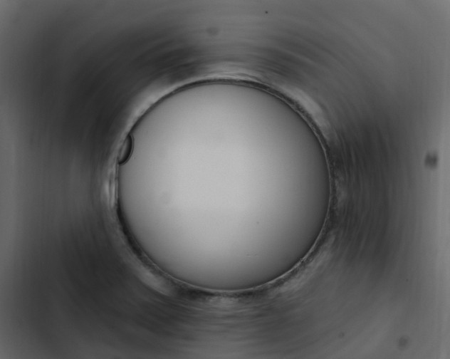 X0000102871371200809021437