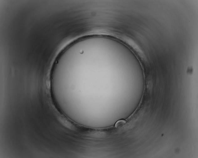 X0000102871372200809021437