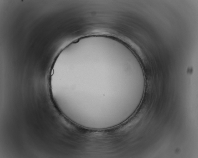 X0000102871373200809021437