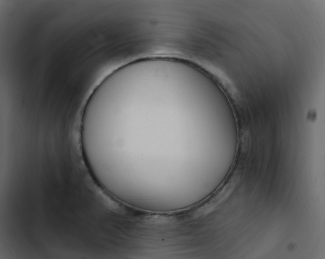 X0000102871374200809021437