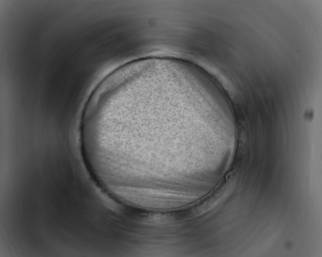 X0000102871375200809021437