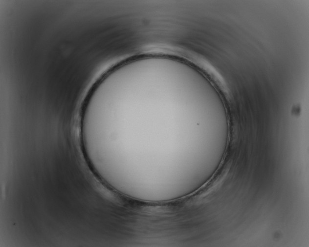 X0000102871376200809021437