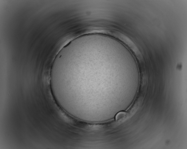 X0000102871377200809021437