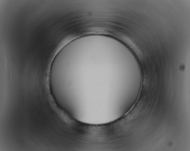 X0000102871378200809021437