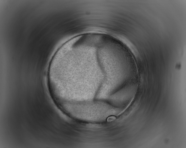 X0000102871379200809021437