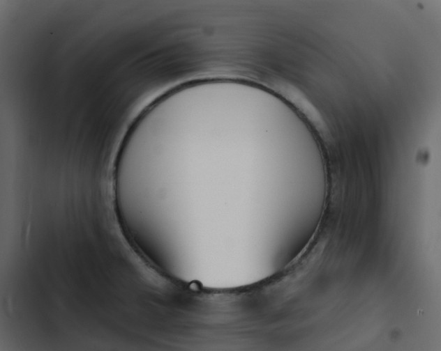 X0000102871380200809021437