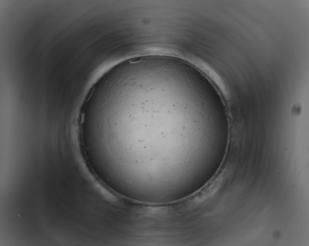 X0000102871381200809021437