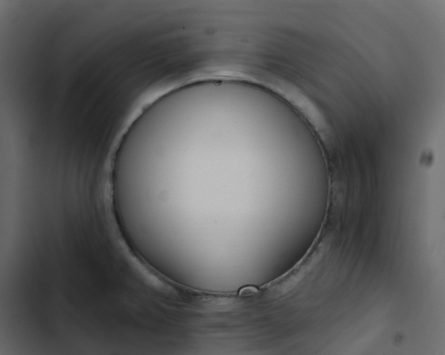 X0000102871382200809021437