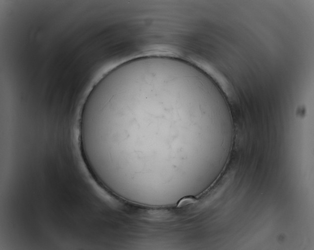 X0000102871383200809021437