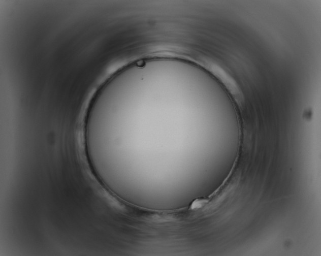 X0000102871384200809021437