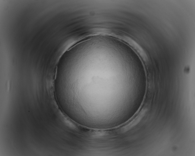 X0000102871385200809021437