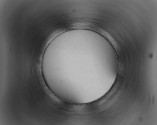 X0000102871386200809021437