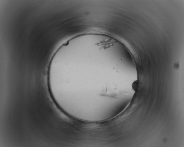 X0000102871387200809021437