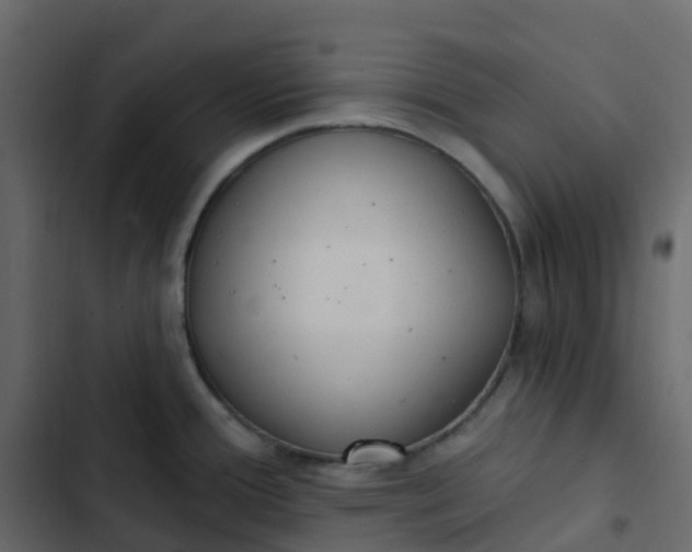 X0000102871388200809021437