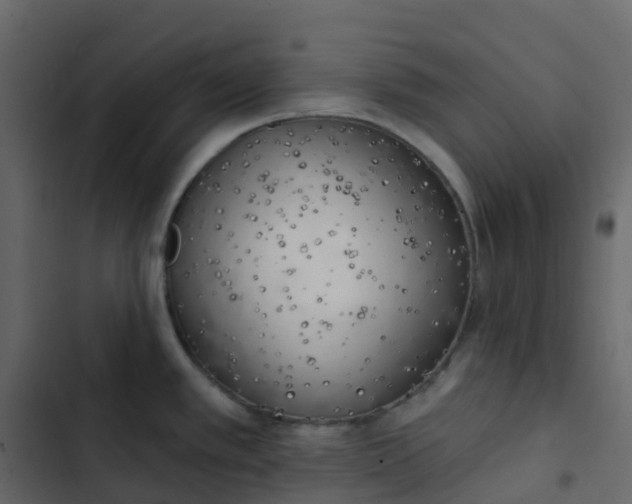 X0000102871389200809021437