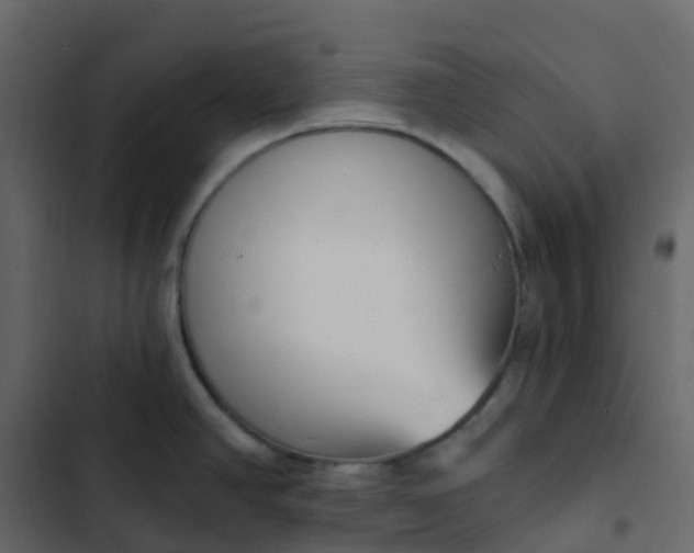 X0000102871390200809021437