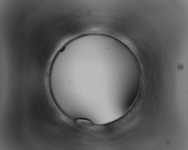 X0000102871392200809021437