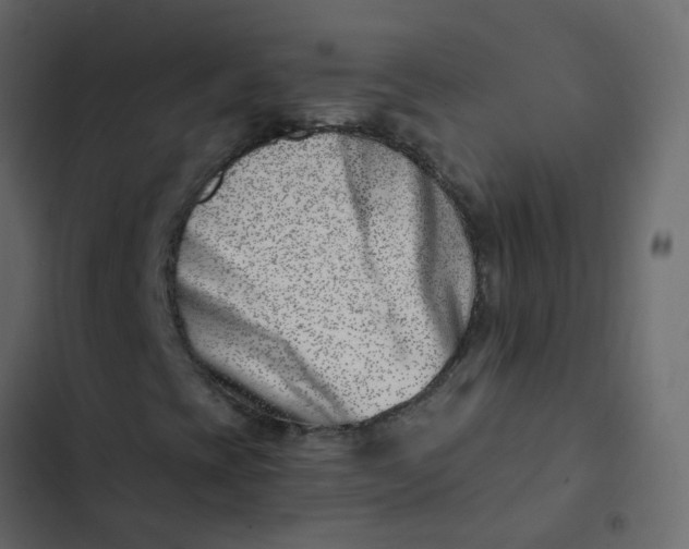 X0000102871393200809021436