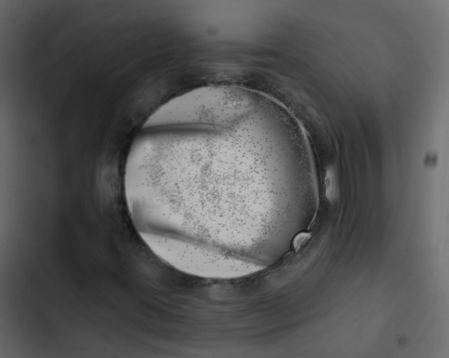 X0000102871395200809021436