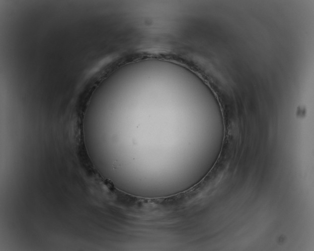 X0000102871398200809021436