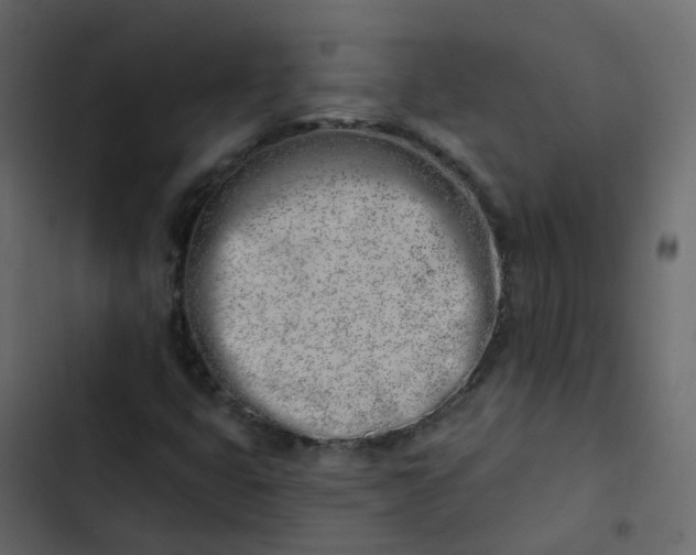 X0000102871399200809021436