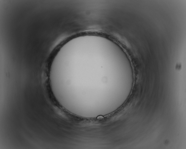 X0000102871400200809021436