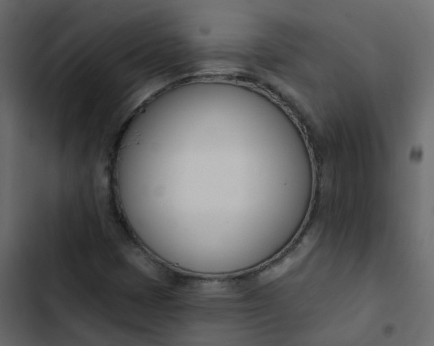 X0000102871401200809021436