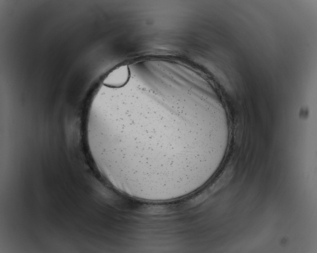 X0000102871402200809021436