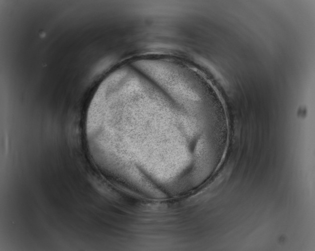 X0000102871403200809021436