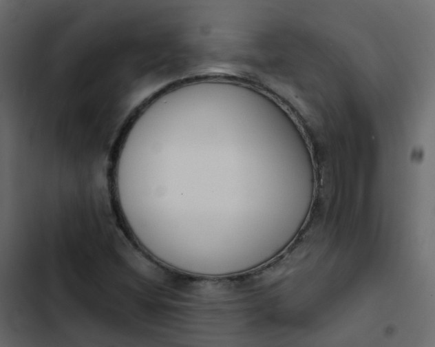 X0000102871404200809021436