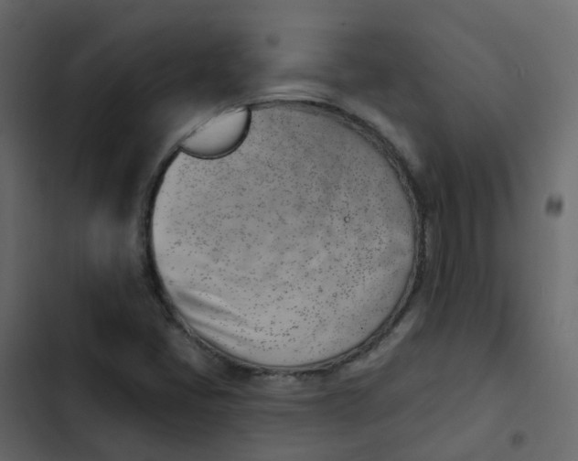 X0000102871405200809021436