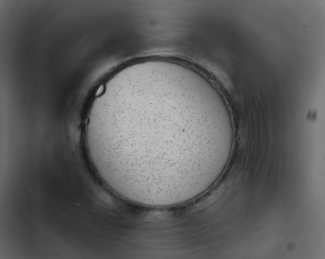 X0000102871406200809021437