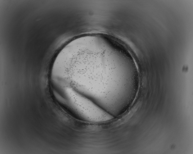 X0000102871407200809021437