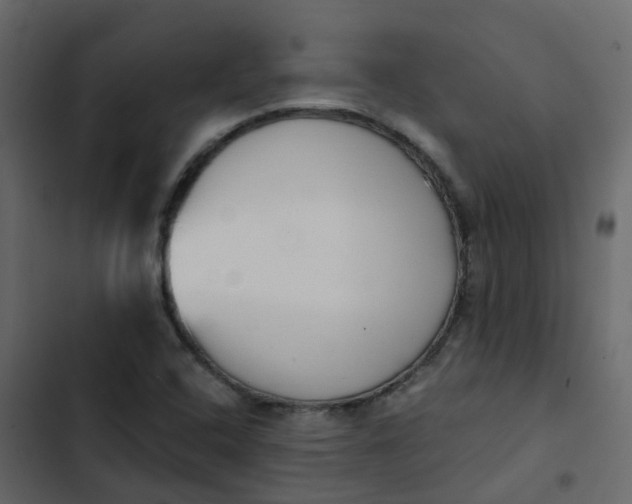 X0000102871408200809021437