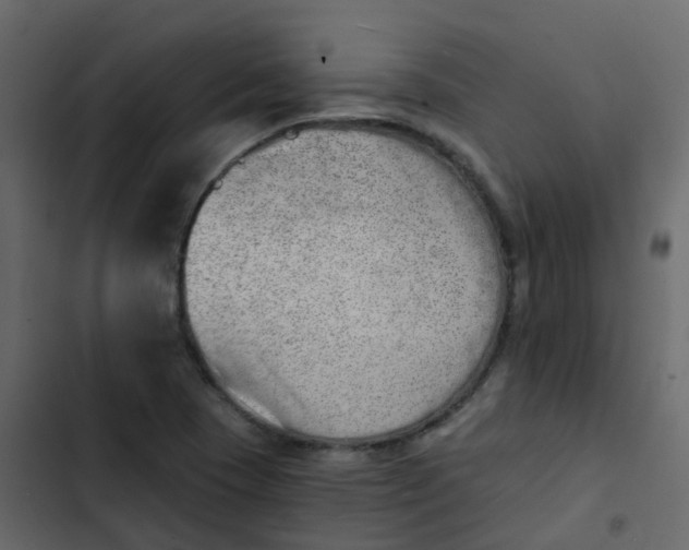 X0000102871409200809021437