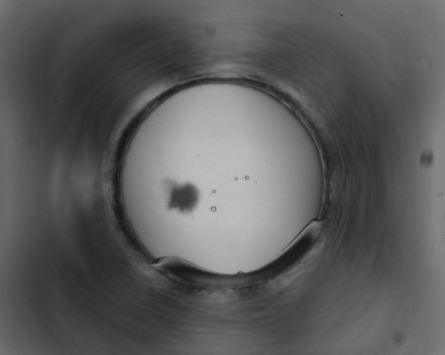 X0000102871410200809021437