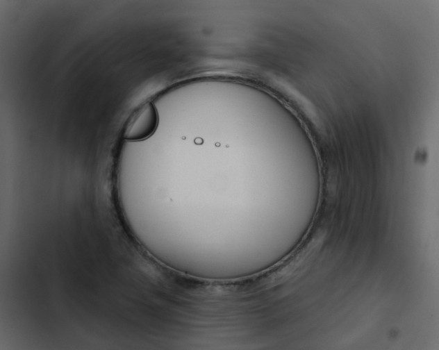 X0000102871411200809021437