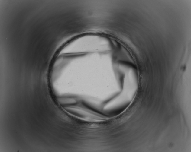 X0000102871412200809021437