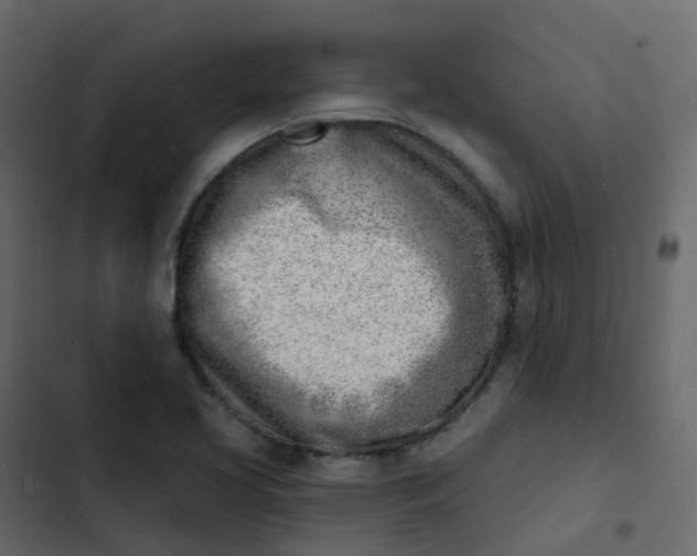 X0000102871413200809021437