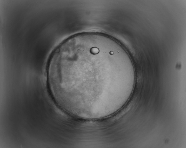 X0000102871414200809021437