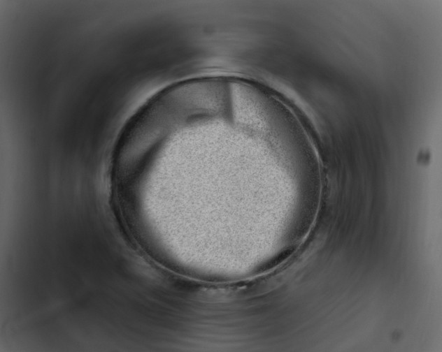 X0000102871415200809021437