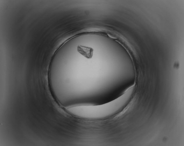 X0000102871417200809021437