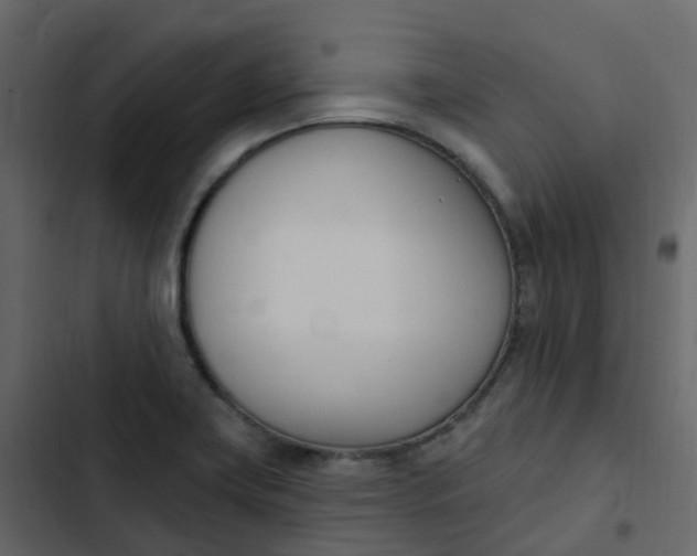 X0000102871419200809021437