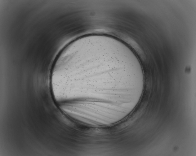 X0000102871420200809021437