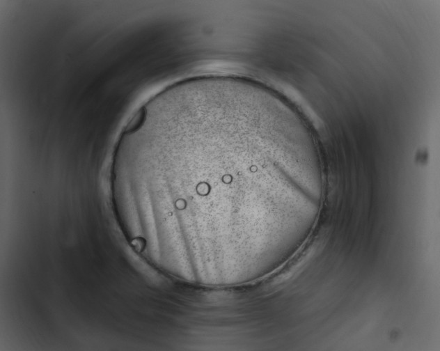 X0000102871421200809021437