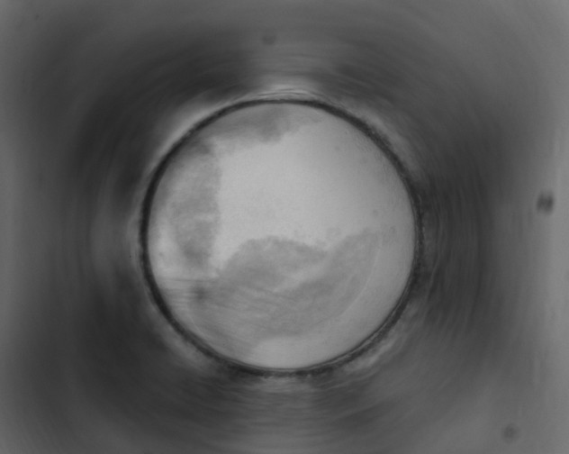 X0000102871422200809021437