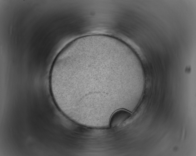 X0000102871423200809021437