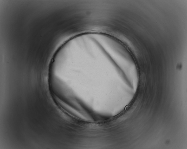 X0000102871424200809021437