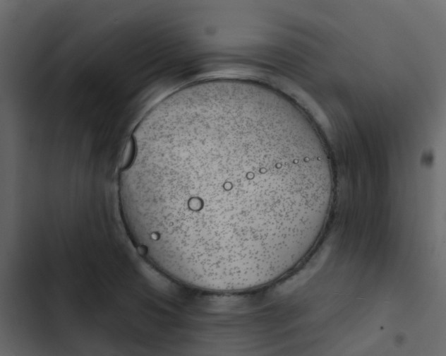 X0000102871425200809021437